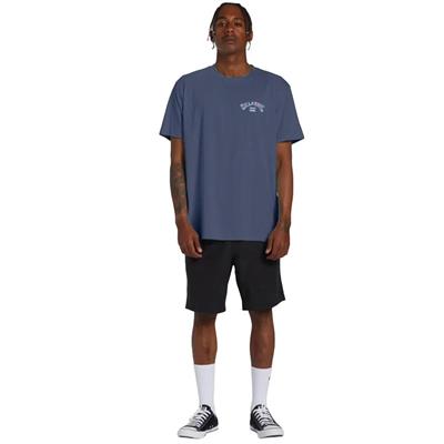 Billabong Arch Fill Tees Erkek T-shirt - ABYZT02256