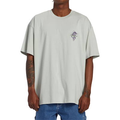 Billabong Enter The Dragon Tees Erkek T-shirt - ABYZT02312