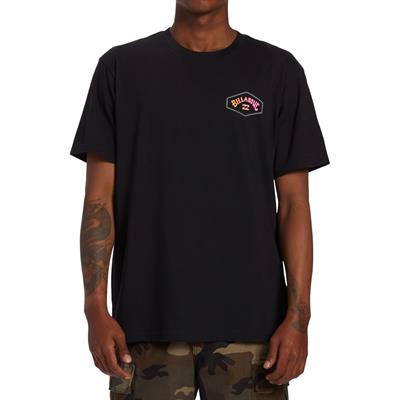 Billabong Exit Arch Tees Erkek T-shirt - ABYZT02257