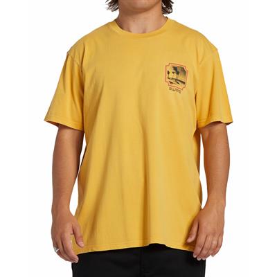 Billabong Reflections Tees Erkek T-shirt - ABYZT02278