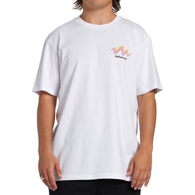 Billabong Segment Tees Erkek T-shirt - ABYZT02263