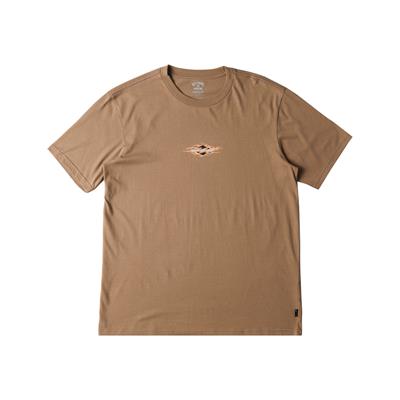 Billabong Tall Tale Tees Erkek T-shirt - ABYZT02266