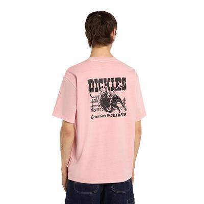 Dickies Buchtell Ss Tee T-shirt - DK0A883BL471