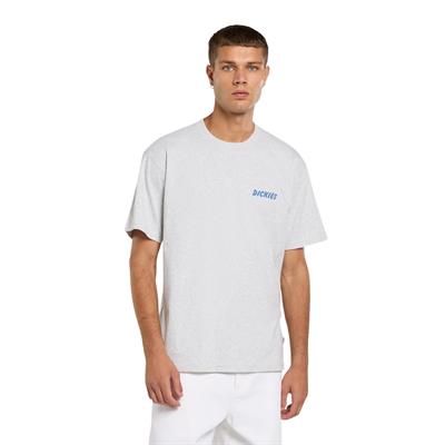 Dickies Dry Ridge Ss Tee T-shirt - DK0A8853A281