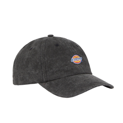 Dickies Hardwick Duck Canvas Şapka - DK0A4Y9IBLK1