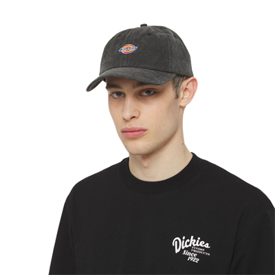 Dickies Hardwick Duck Canvas Şapka - DK0A4Y9IBLK1