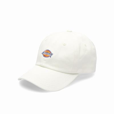 Dickies Hardwick Şapka