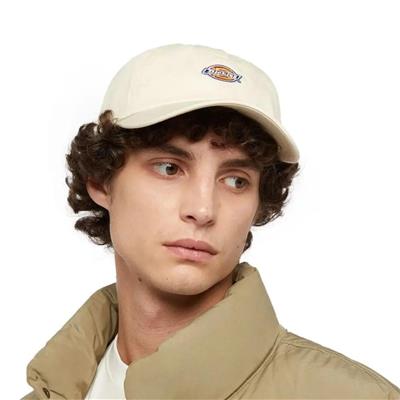 Dickies Hardwick Şapka - DK0A4TKVF901