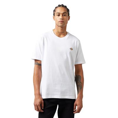 Dickies Mapleton SS Tee Erkek T-shirt - DK0A4XDBWHX1