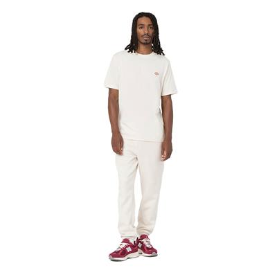 Dickies Mapleton SS Tee Erkek T-shirt - DK0A4XDBF901