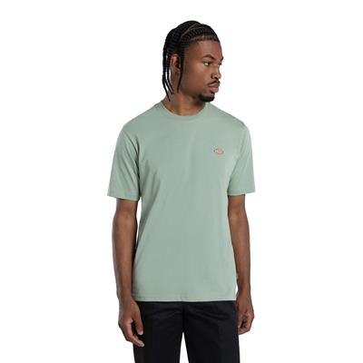 Dickies Mapleton Ss Tee T-shirt - DK0A4XDBK361