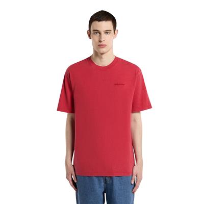 Dickies Plentywood Ss Tee T-shirt - DK0A866BL331