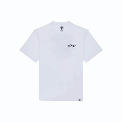 Dickies Snake Ss Tee T-shirt - DK0A4Z990WH1