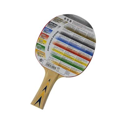 Donic Schildkröt Appelgren 300 Masa Tenisi Raketi - 703029