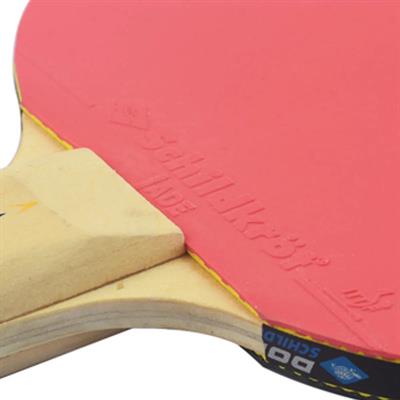 Donic Schildkröt Appelgren 300 Masa Tenisi Raketi - 703029