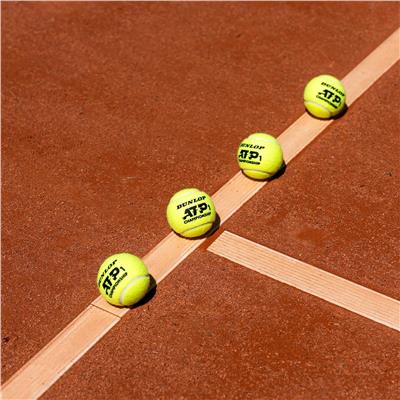 Dunlop ATP Championship 2x4 Pet Tenis Topu - 9601628