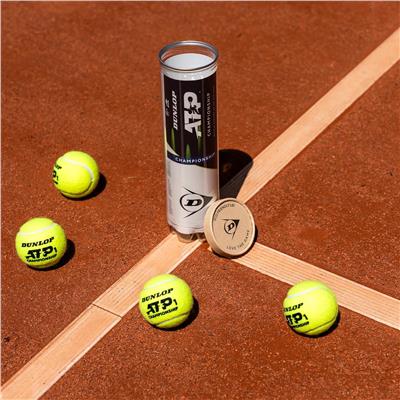 Dunlop ATP Championship 2x4 Pet Tenis Topu - 9601628
