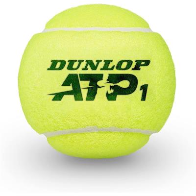 Dunlop D Tb Atp Championship 2X4 Pet Sleeve Tenis Topu - 9601363
