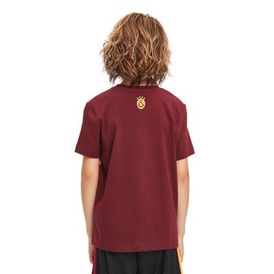 Galatasaray Çocuk T-shirt - C241128