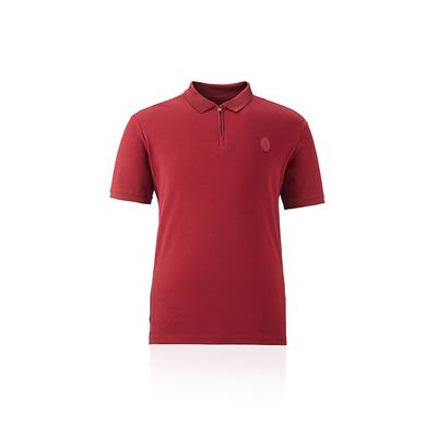 Galatasaray Erkek Polo T-Shirt - E241239