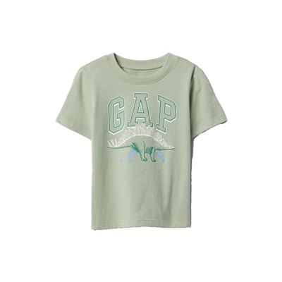 Gap V-Bf Ss Gr Tee T-shirt - 703624
