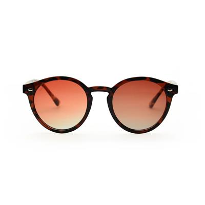 Looklight Letoon Bold Unisex Güneş Gözlüğü - LL8022 / B44 / DRT15
