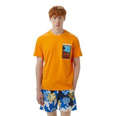 Napapijri S Valdor Ss T-shirt - NP0A4IE6A701