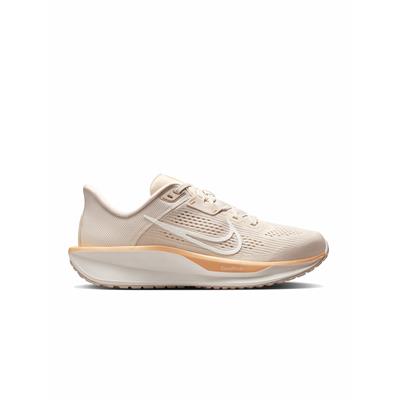 Nike Quest 6 Kadın Koşu Ayakkabısı - FD6034