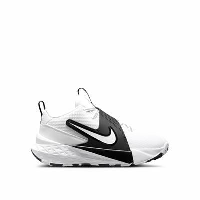 Nike Team Hustle D 12 BAsketbol Ayakkabısı - HF6279