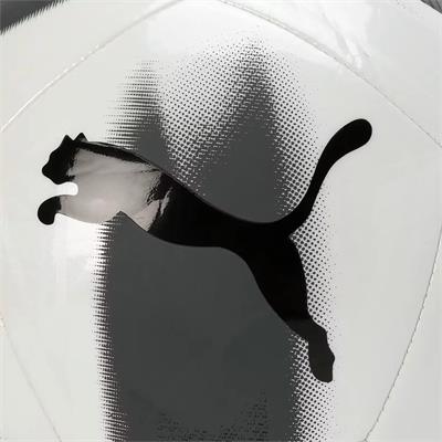 Puma Prestige Futbol Topu - 084346