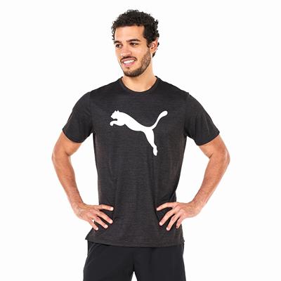 Puma Train Fav Heather Cat Tee T-shirt - 522352
