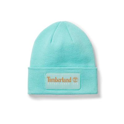 Timberland Established 1973 Erkek Bere - TB0A2PTDEB91