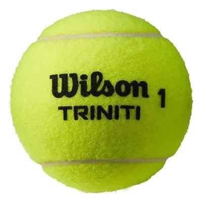 Wilson Triniti Club Tenis Topu - WR8201501001