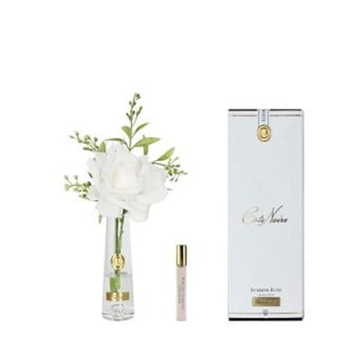 Cote Noire - Tek Güllü Gold Beyaz Çiçek