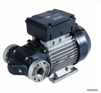 E120 M Mazot Transfer Pompası