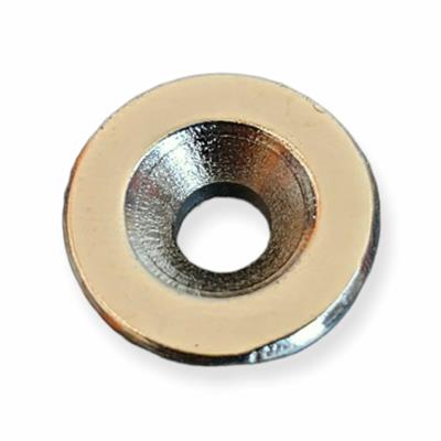 Tabanca Switch Mıknatısı