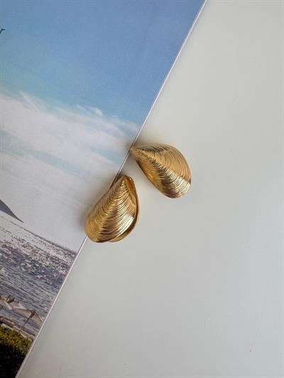 Çelik Deniz Kabuğu Küpe