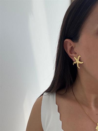 Çelik Deniz Yıldızı Küpe 