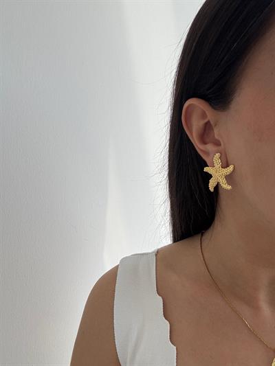 Çelik Dokulu Deniz Yıldızı Küpe 