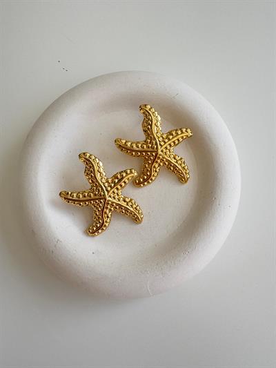 Çelik Dokulu Deniz Yıldızı Küpe 