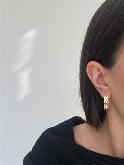 Çelik Köşegen Küpe