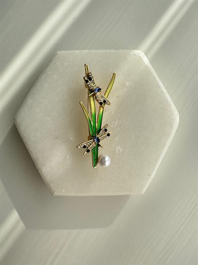 Taşlı Yusufçuklar