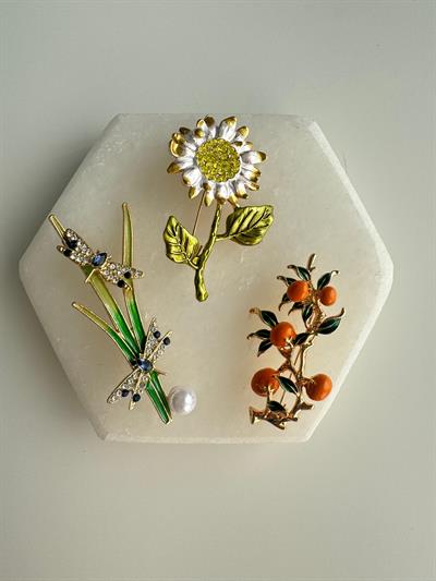 Taşlı Yusufçuklar