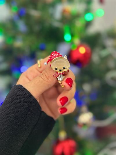 Kırmızı Şapkalı Yeniyıl Kedisi