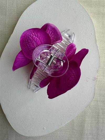 Orkide Mandal Toka Mor