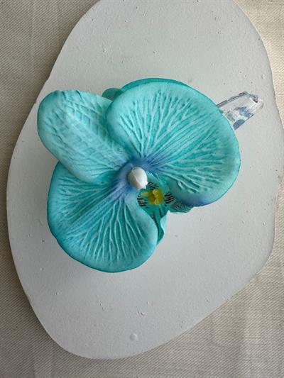 Orkide Mandal Toka Su Yeşili