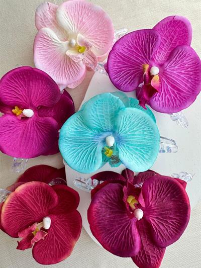 Orkide Mandal Toka Su Yeşili