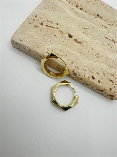 Özel Seri 14k Geometrik Halka Küpe 