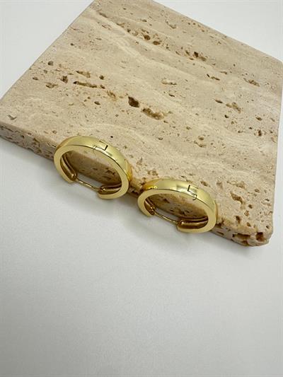 Özel Seri 14k Halka Küpe (25mm)