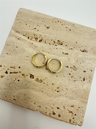 Özel Seri 14k Mini Halka Küpe